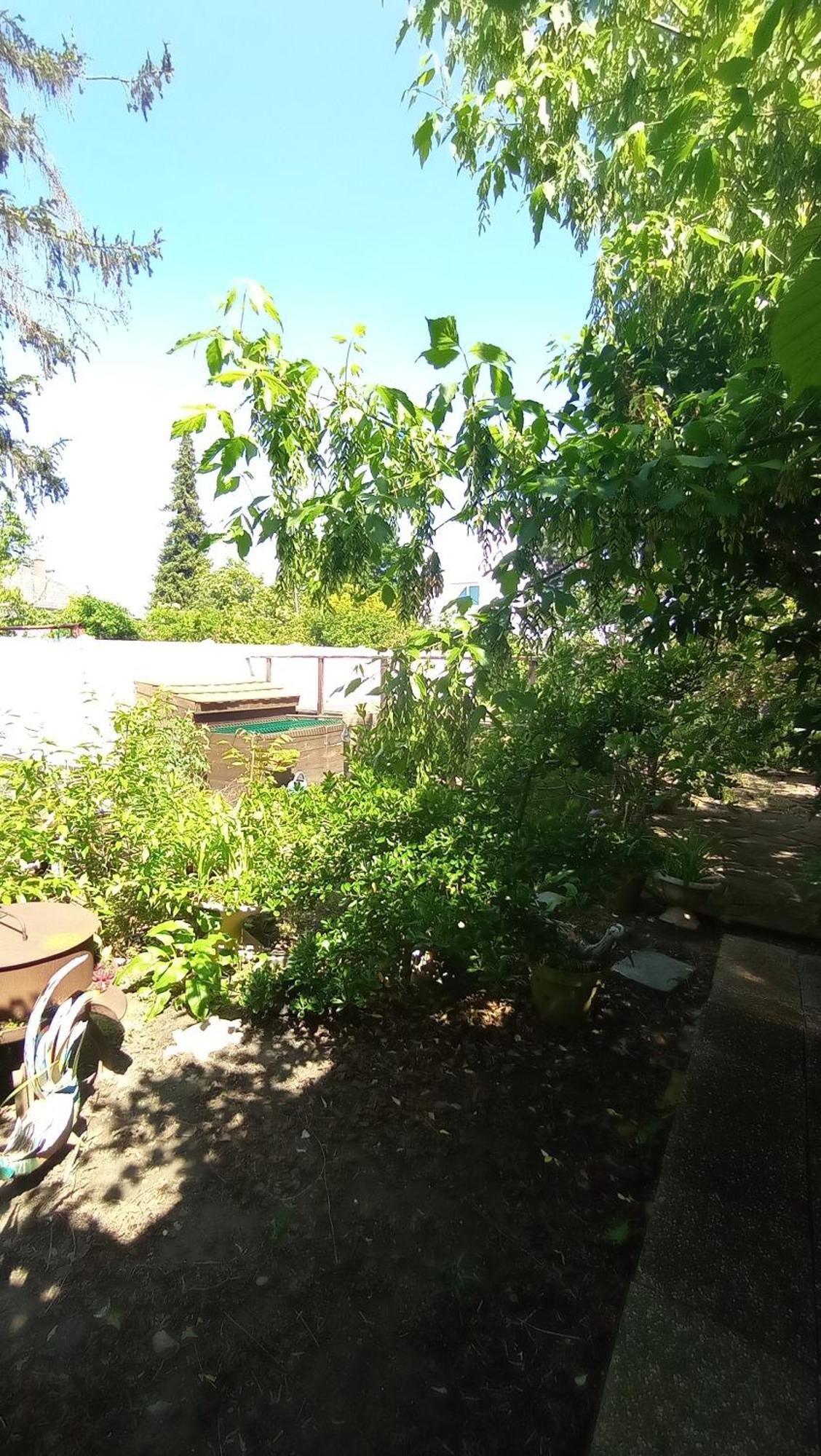 Appartement Garden Duplex à Sundhoffen Extérieur photo