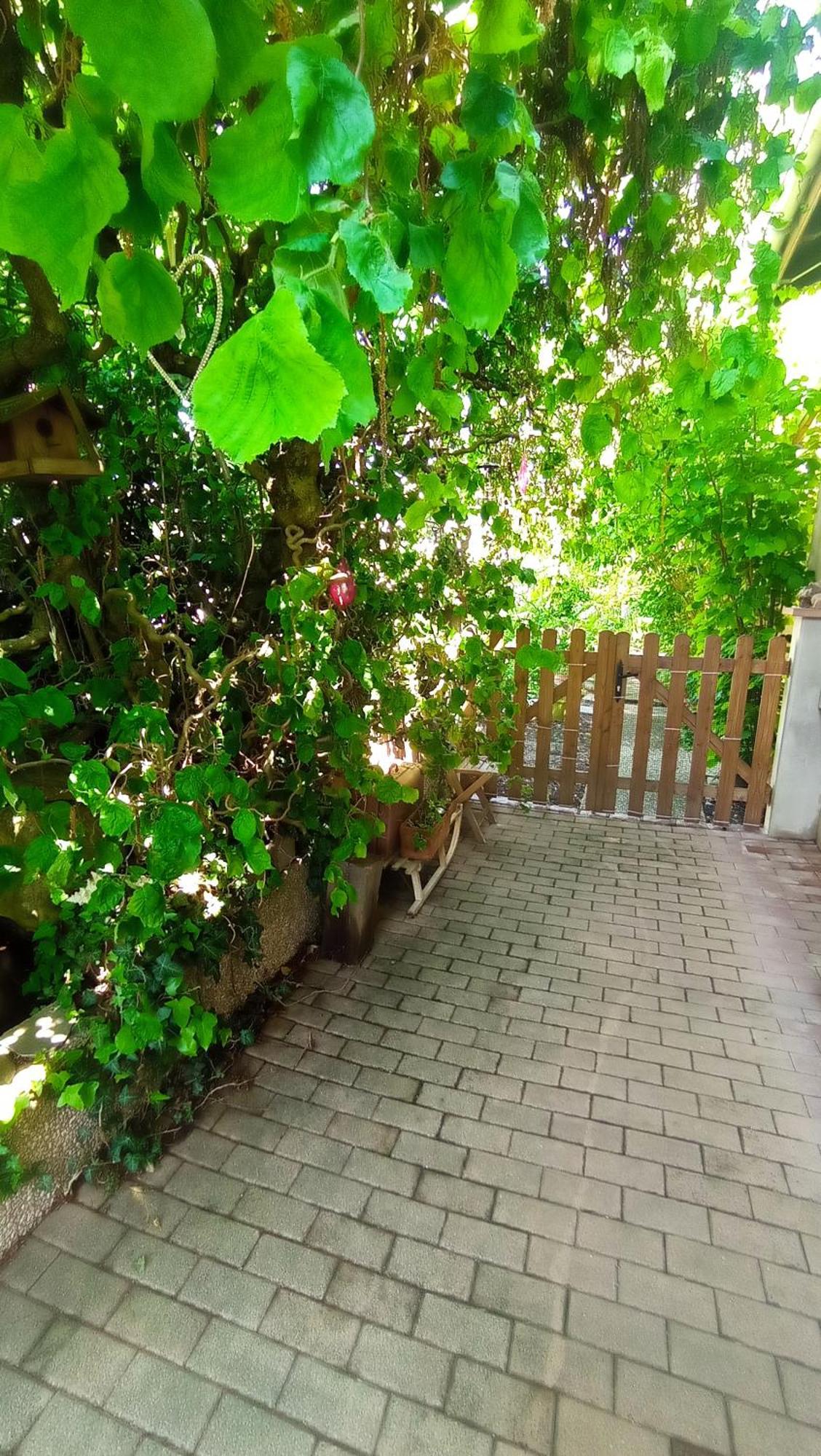 Appartement Garden Duplex à Sundhoffen Extérieur photo