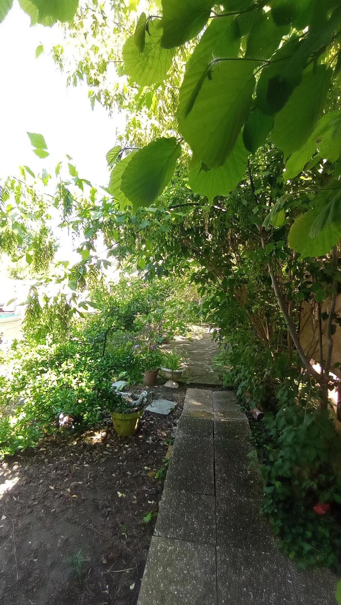 Appartement Garden Duplex à Sundhoffen Extérieur photo
